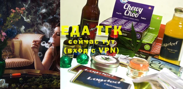 гидра Вяземский