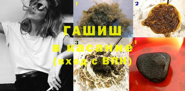 гидра Вяземский