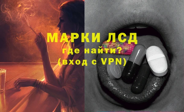гидра Вяземский