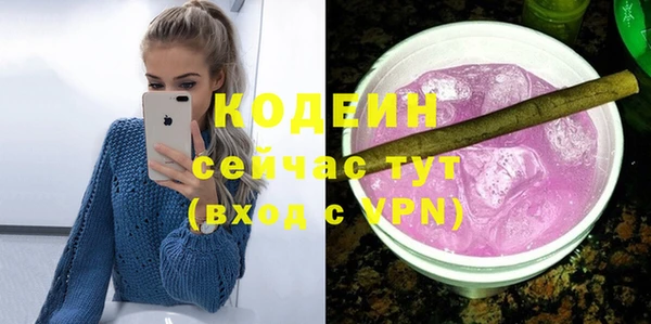 гидра Вяземский