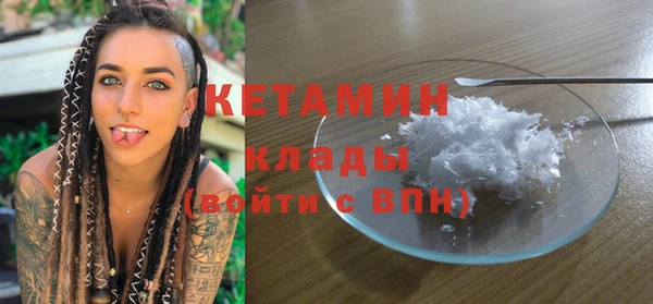 гидра Вяземский