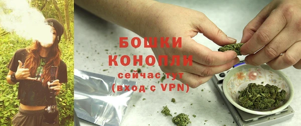 гидра Вяземский