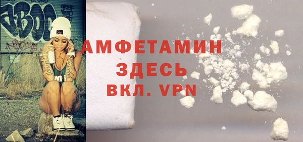 гидра Вяземский