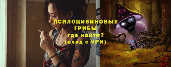 гидра Вяземский