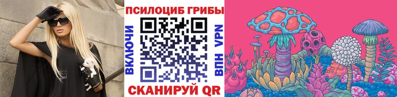 Псилоцибиновые грибы мицелий Топки